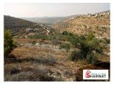 ارض 1300م مطله قريبه جدا من الخدمات مستوه  Image 1