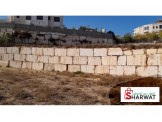 نمرة أرض مميزة للبيع في منطقة لوزا(خلف الڤلل) Image 3