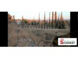 1108 متر قرب الجدار في بلعين يصلها شارع ترابي Image 3