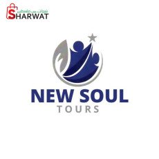New Soul Tours