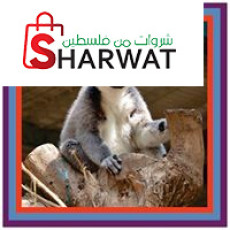 حديقة حيوانات ومتنزه قلقيلية