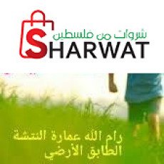 Natsheh Kids نتشه كيدز