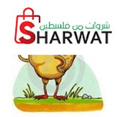 FRESH Chicken - فرش