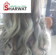 Salon plaza mall