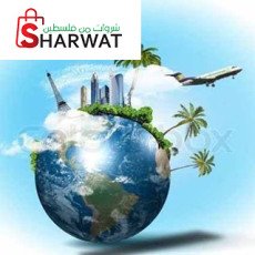 Fly Zone And Travel مكتب خدمات سي...