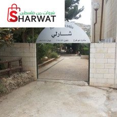 مسبح شارلي