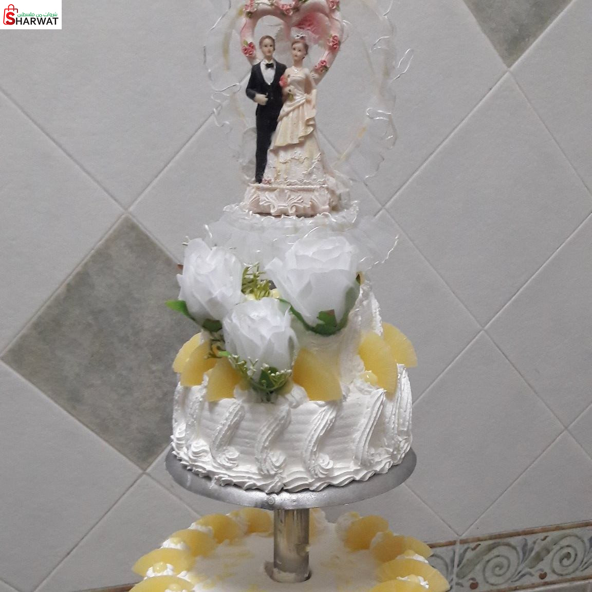 جاتوهات ومعجنات دواس