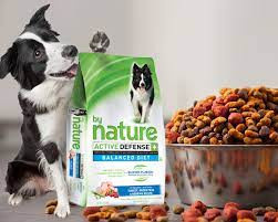 محل العجلة وحديد