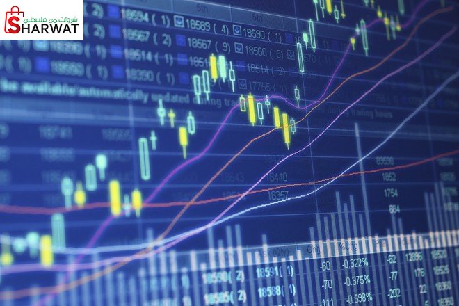 النورس للاستثمارات المالية