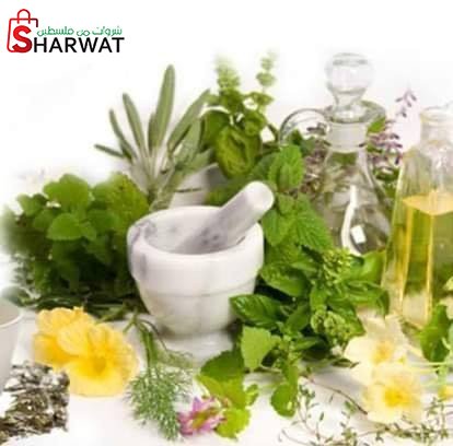 مركز الاعشاب التخصصي