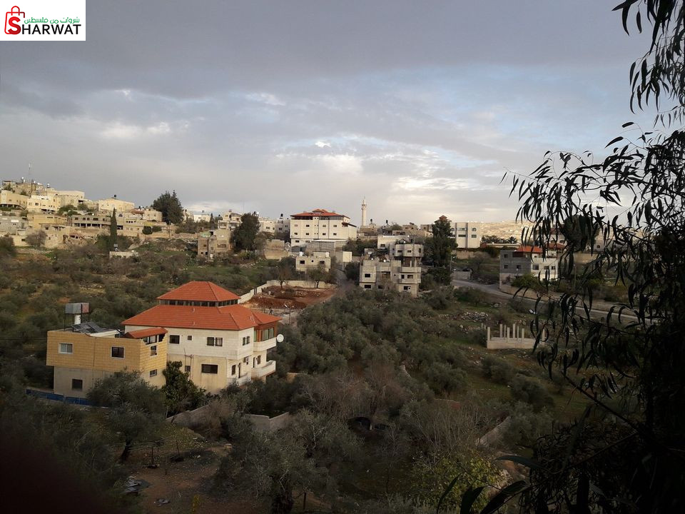 مجلس قروي يتما