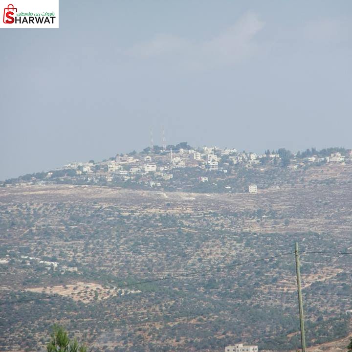 بلدية عطارة