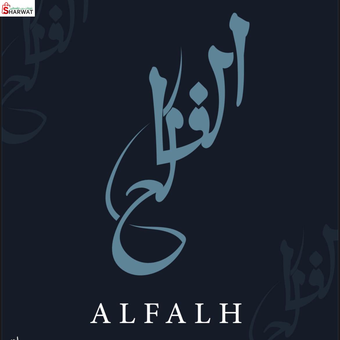 شركه الفالح لتأجير وتجاره السيارات