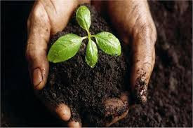 محلات ذنابة للمواد الزراعية