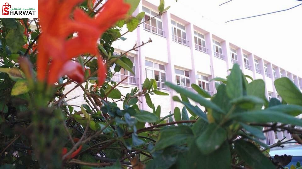 مدرسة ام سلمة الاساسية للبنات