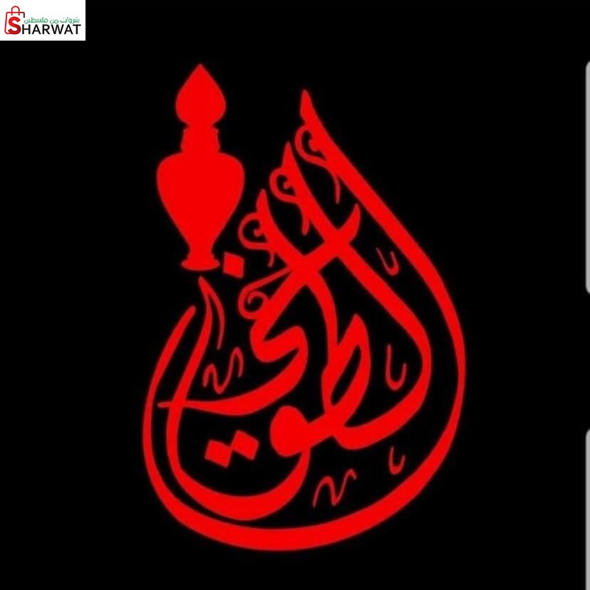محل مهند الطوخي