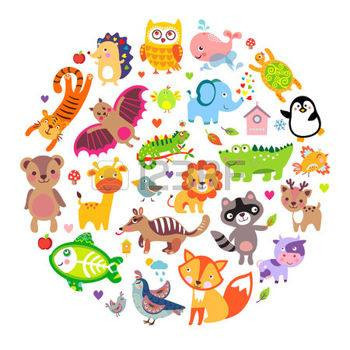 محل تويو بيرد