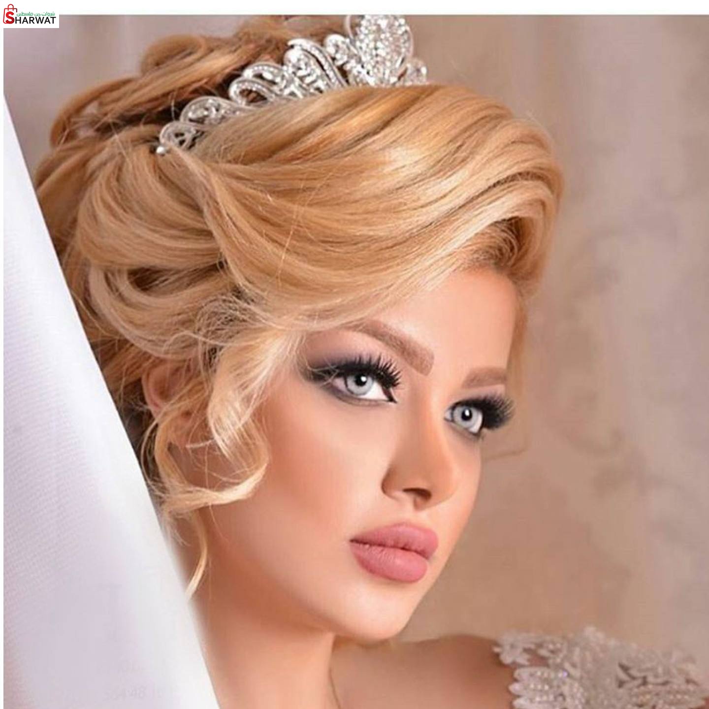 صالون الميس