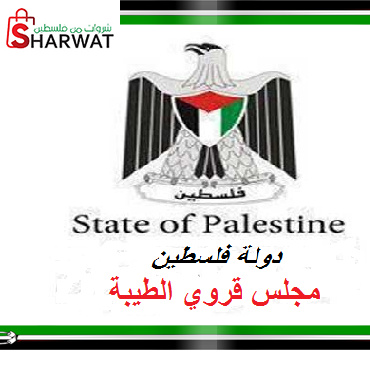 مجلس قروي الطيبة