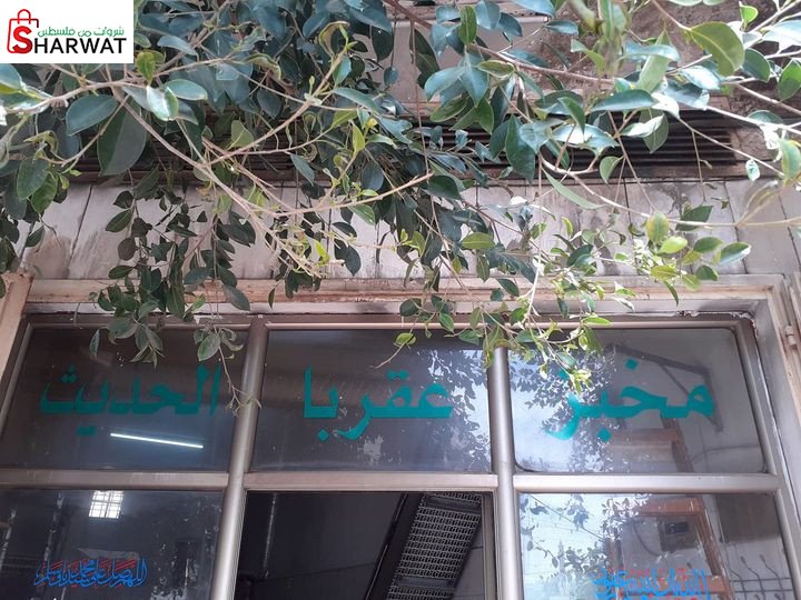 مخبز عقربا الحديث