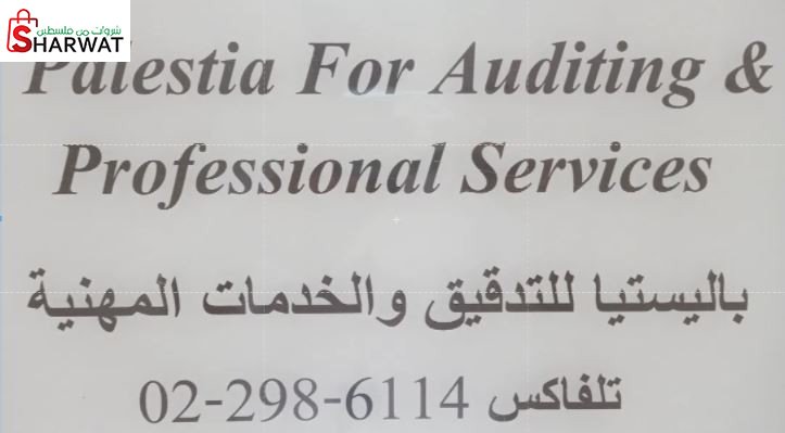 باليستيا للتدقيق والخدمات المهنية