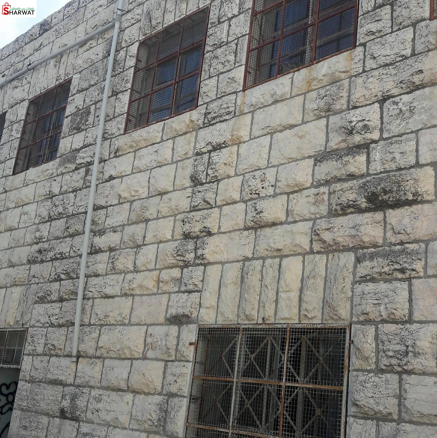 مدرسة الشيوخ الاساسية للبنات