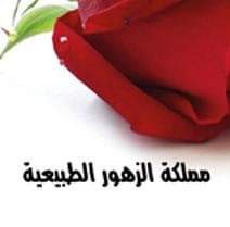 مملكة الزهور الطبيعية