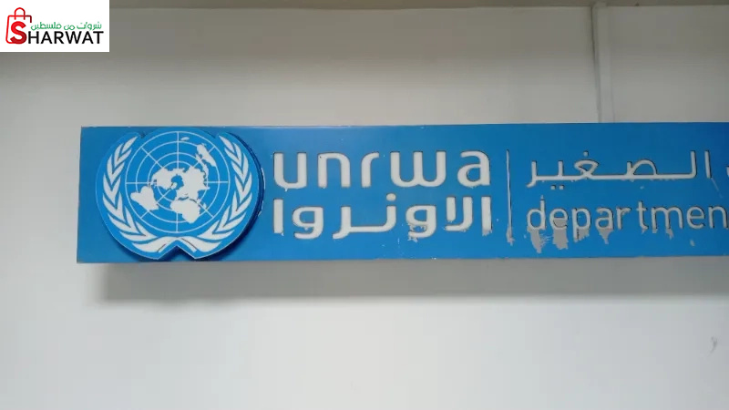 دائرة تمويل الصغير