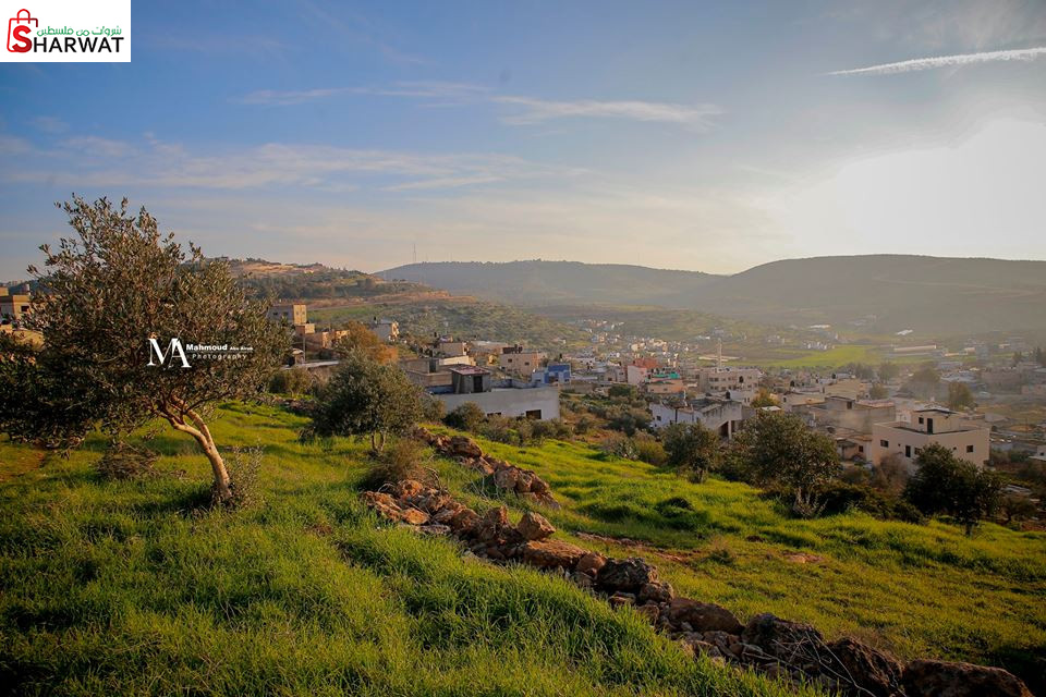 مجلس قروي جلبون