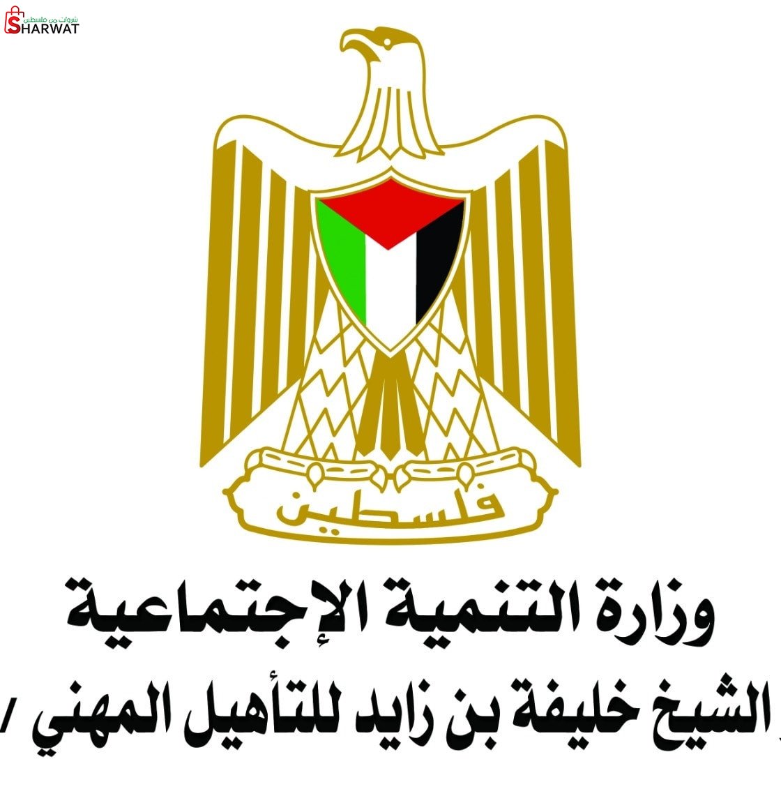 مركز الشيخ خليفة بن زايد للتأهيل ...