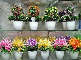 ازهار روزيز