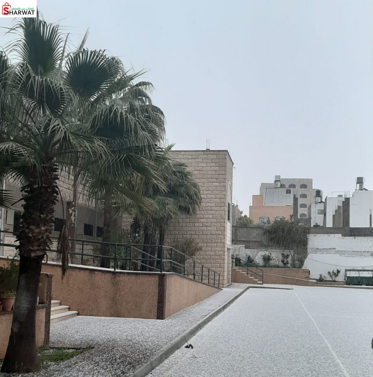 مدرسة بنات عقربا الاساسية