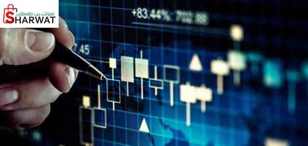 شركة الروابي للتجارة والاستثمار