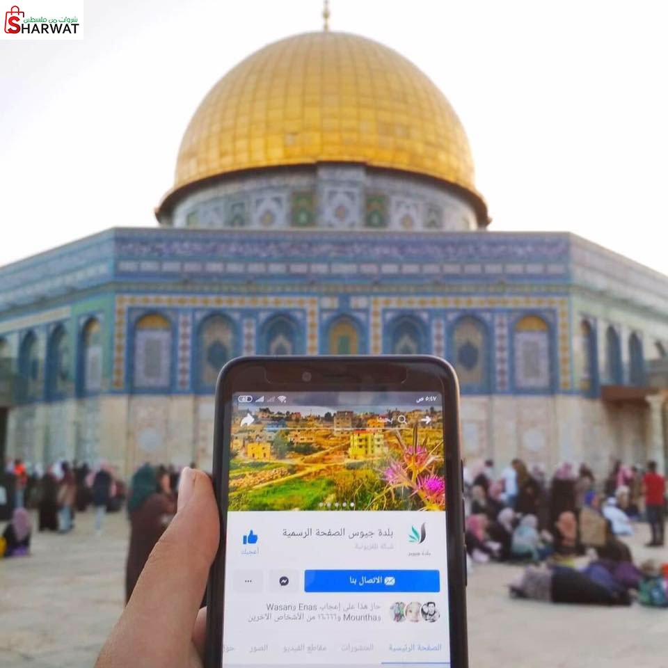 بلدية جيوس