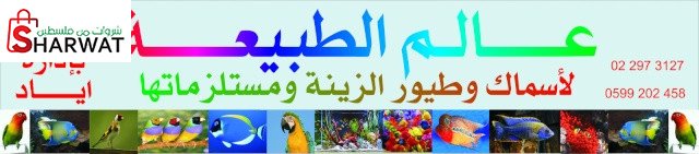 عالم الطبيعة للاسماك وطيور الزينة