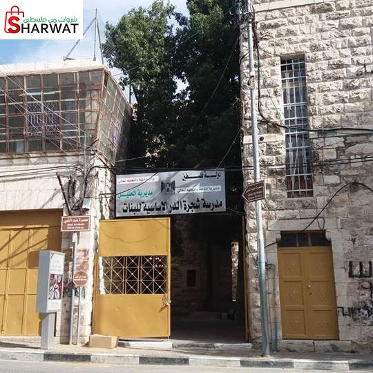 مدرسة شجرة الدر الاساسية للبنات