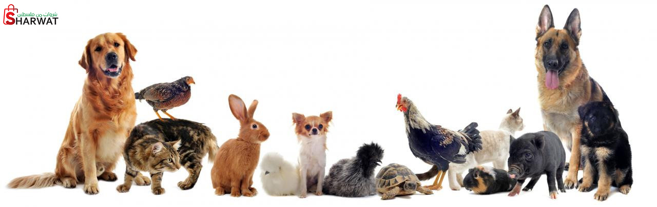 عالم الطبيعة