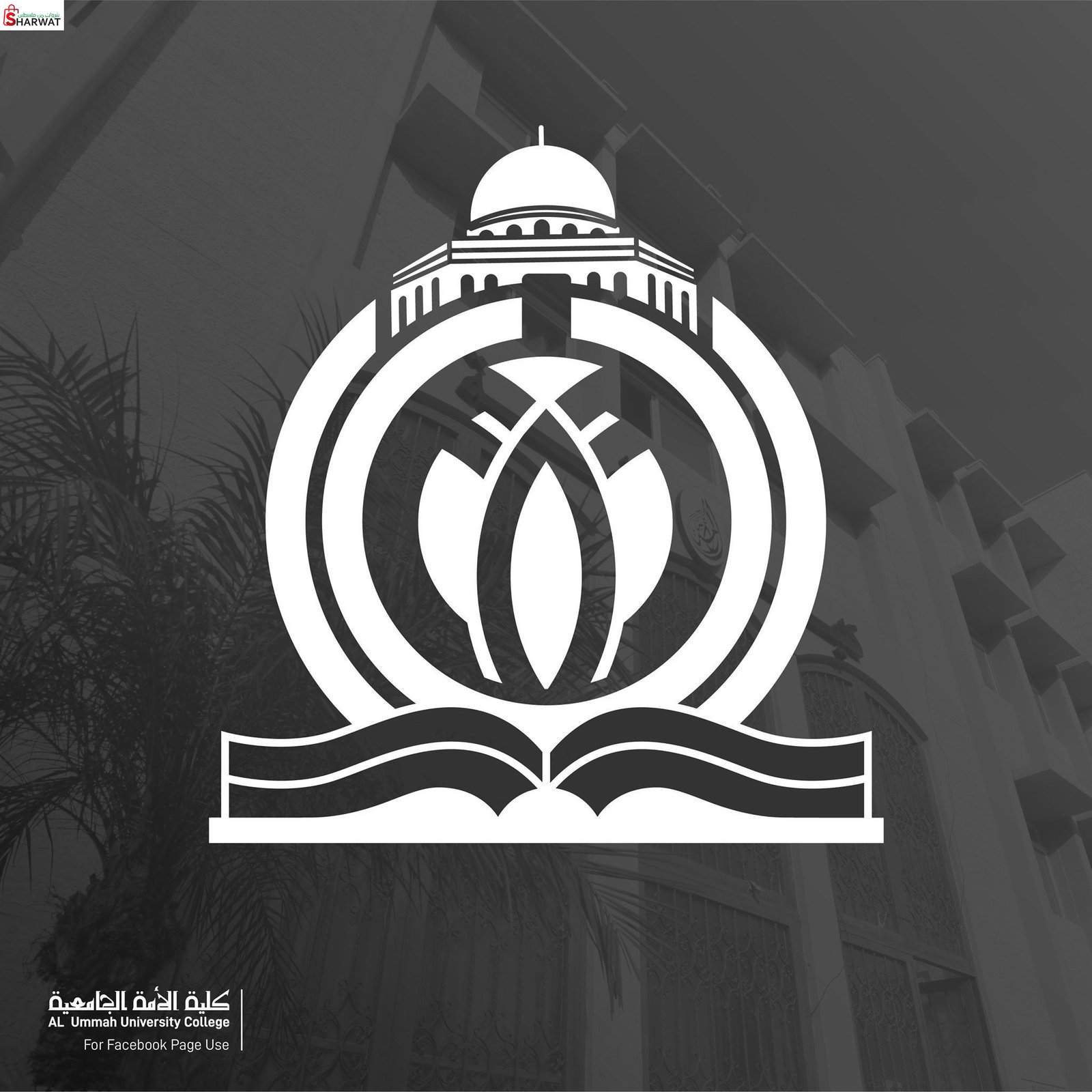 كلية الامة الجامعية