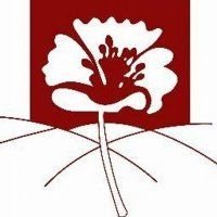 طاقم شؤون المرأة
