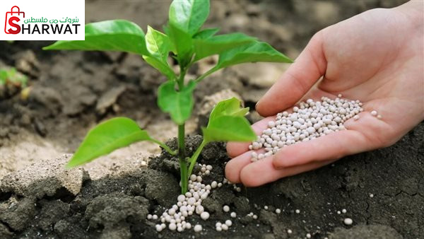 شركة سهيل ابو حليمة واخوانه