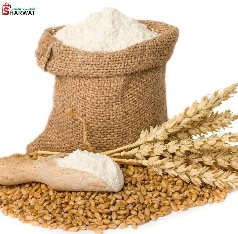 مطاحن الظاهرية الجديدة