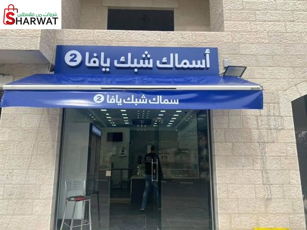 اسماك شبك يافا 2