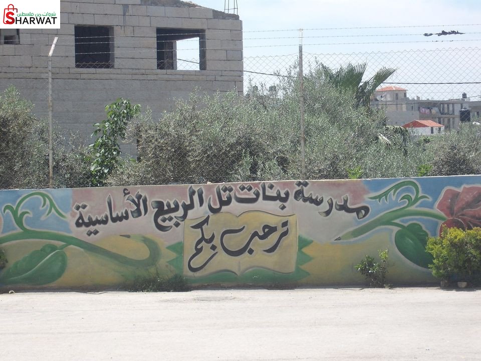مدرسة بنات تل الربيع الاساسية