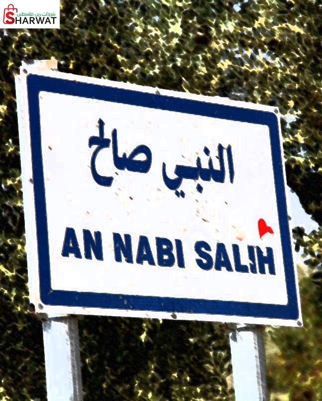 مجلس قروي النبي صالح