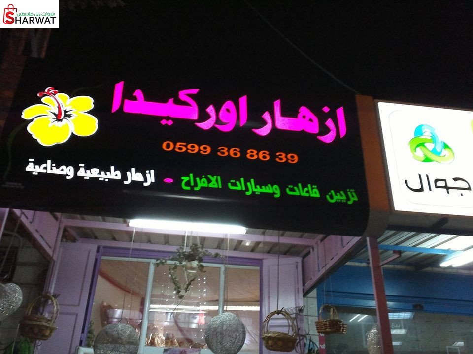 اوركيدا