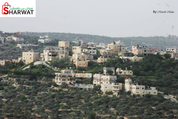 مجلس قروي زيتا