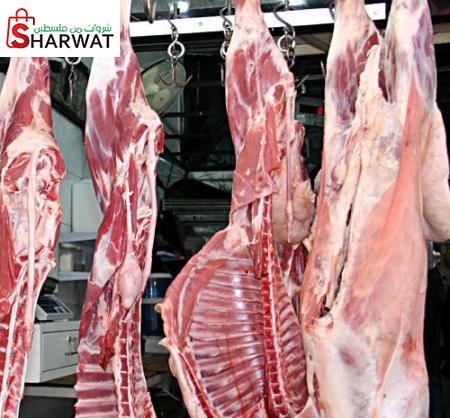 الندى للمواد الغذائيه