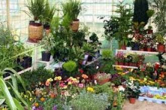 مشتل الفتياني