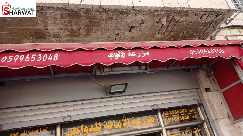 مزرعة الامانة