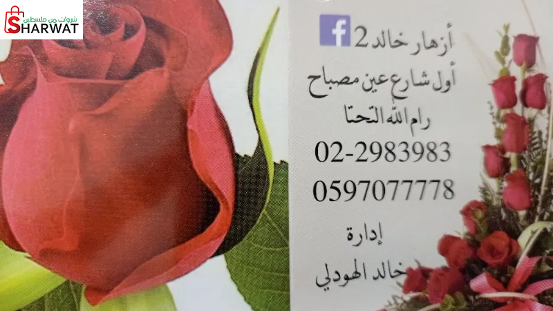 ازهار خالد 2